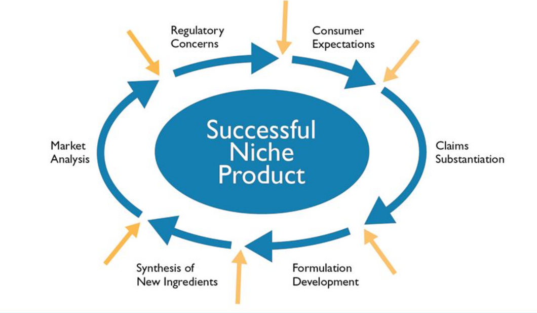Niche Market Developer